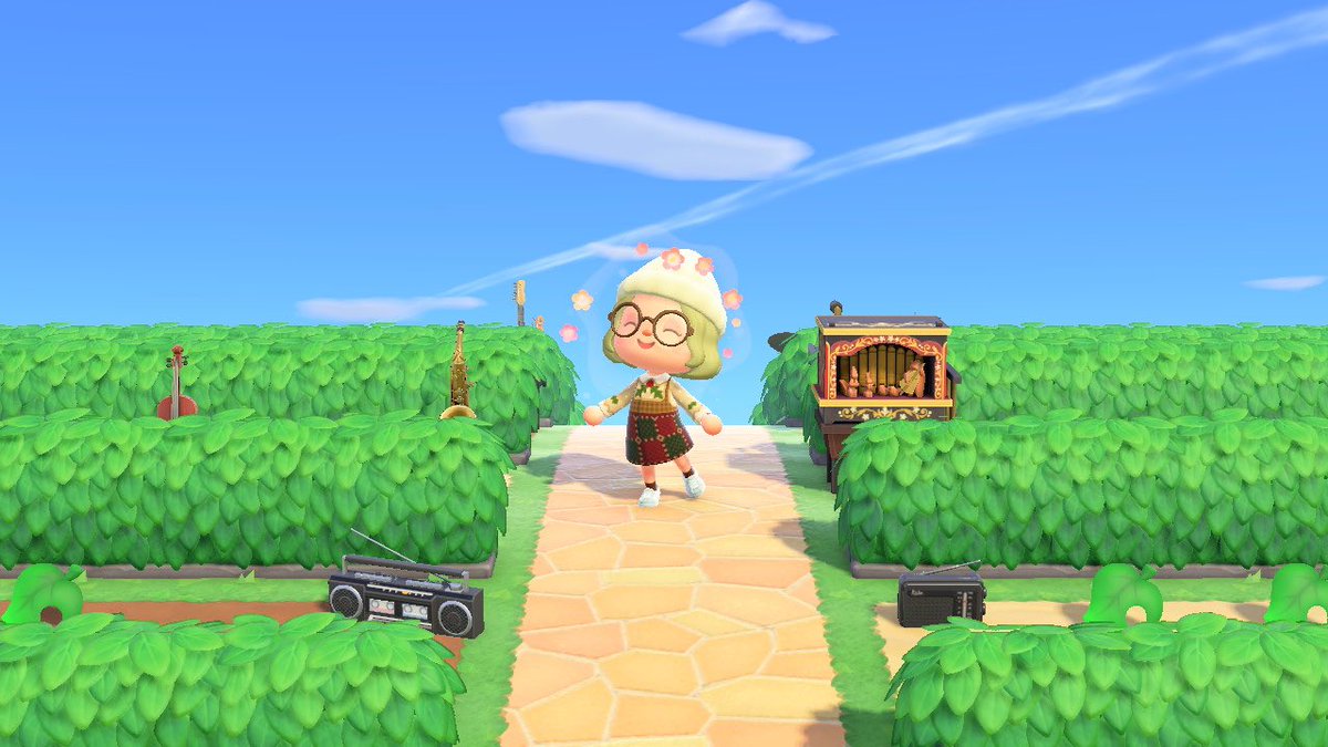 gallycrossing's tweet photo. pictures from catalog island as promised! 🥰🥰 https://t.co/vcMC6mtN6W