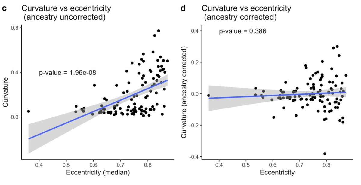 One myth we were able to bust with our study is the idea that cross-sectional shape dictates hair curvature.When you take into account ancestry, there is no correlation. So there probably isn’t a physical link between how “flat” a hair is and how curved it is.