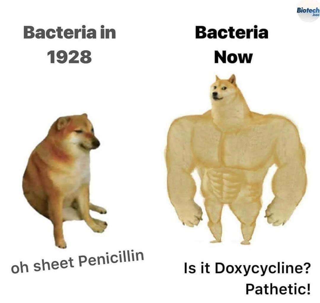 Francesco Righetti tweet media