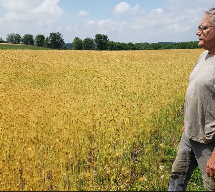 DoubleEagleMalt's tweet photo. Ken Skorinko is a sixth-generation owner of Suyundalla Farms, dating to the early 1800s.  He and his wife raise a variety of products, from vegetables for their local farm stand, small grains, fruit trees, hay, and a small herd of farm animals.

Read More: https://t.co/2wdAQiPLH4 https://t.co/Pr3tK6mqD8