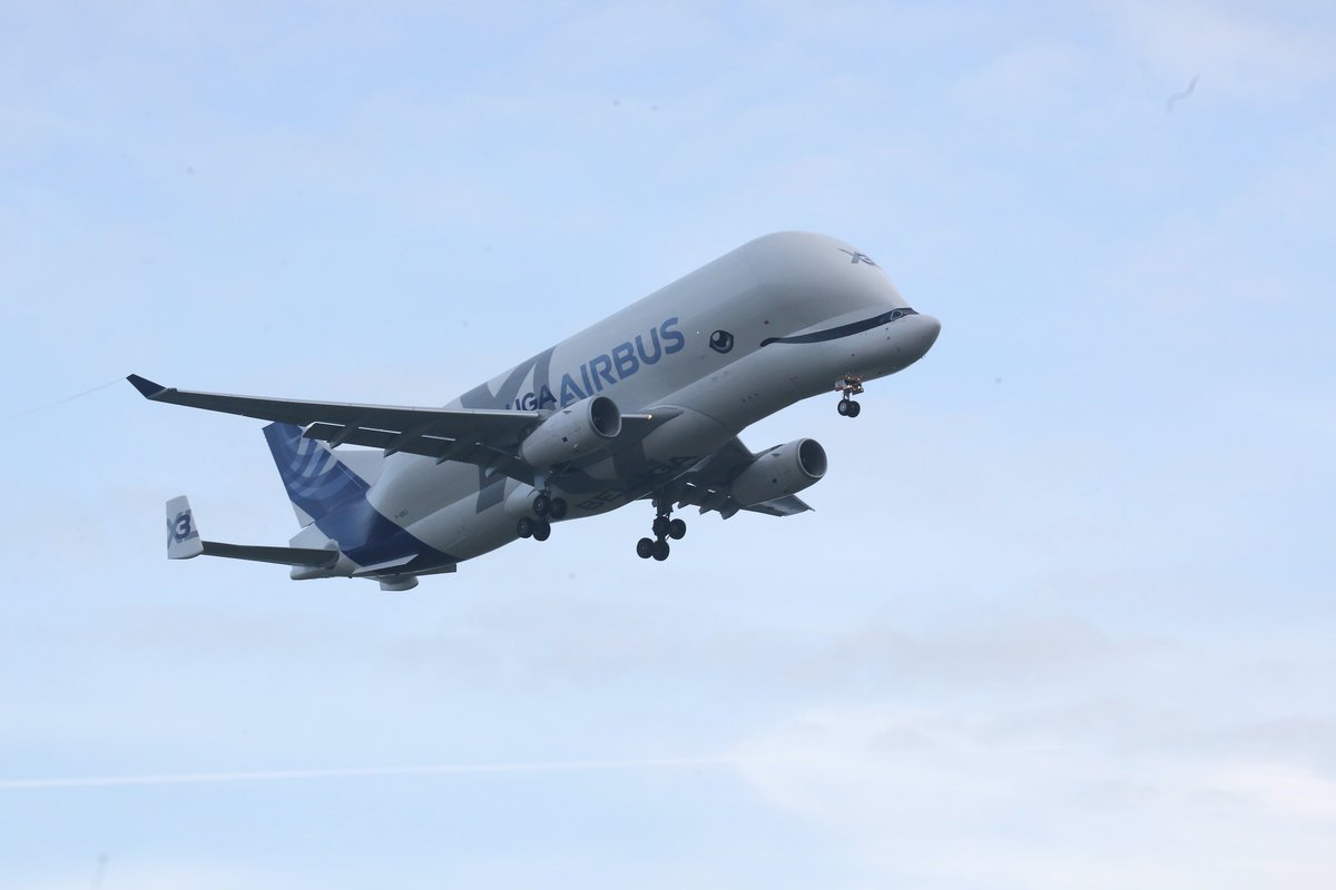 Somme_fr's tweet photo. Le nouveau #BelugaXL s’est posé pour la 1ère fois à l'Aéroport Albert-Picardie. L’avion géant d'@Airbus, dont la pointe avant a été fabriquée par @STELIAAEROSPACE à #Méaulte, a pour mission de transporter des pièces volumineuses. https://t.co/EuRACQ3wGj