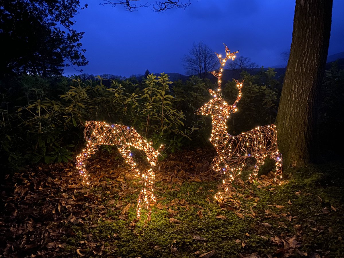 TheConistonInn tweet media