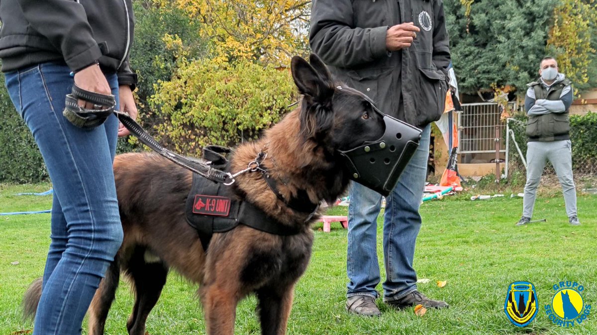 El #diaMundialdelaEliminacióndelaViolenciaContralaMujer Hemos conocido el <a href="/ProyectoPepo/">Proyecto Pepo</a>🐕‍🦺con Beatriz. Su perro le ha cambiado la vida.🐶💜

Carmen Salgado de <a href="/HNatura/">Herbarum Natura</a> nos ha contado como ayudan la vitamina D y la Melatonina contra el Covid. ☀️🍇

🔊melodia-fm.com//audios-online…