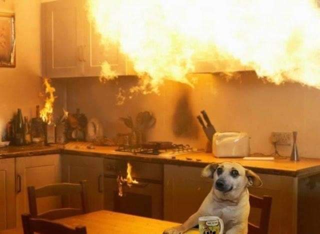 kansaita_'s tweet photo. yo viendo como mi vida se va a la mierda pero no quiero pensarlo porque me agobio https://t.co/y87Yuh4Emw