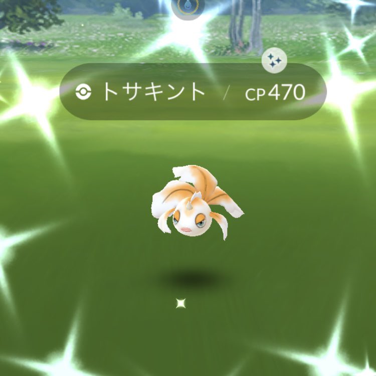 こま太 ポケモンgo札幌 タスクから色違いトサキント 朝からかなり嬉しい わーい T Co Gef5fsuxvw Twitter