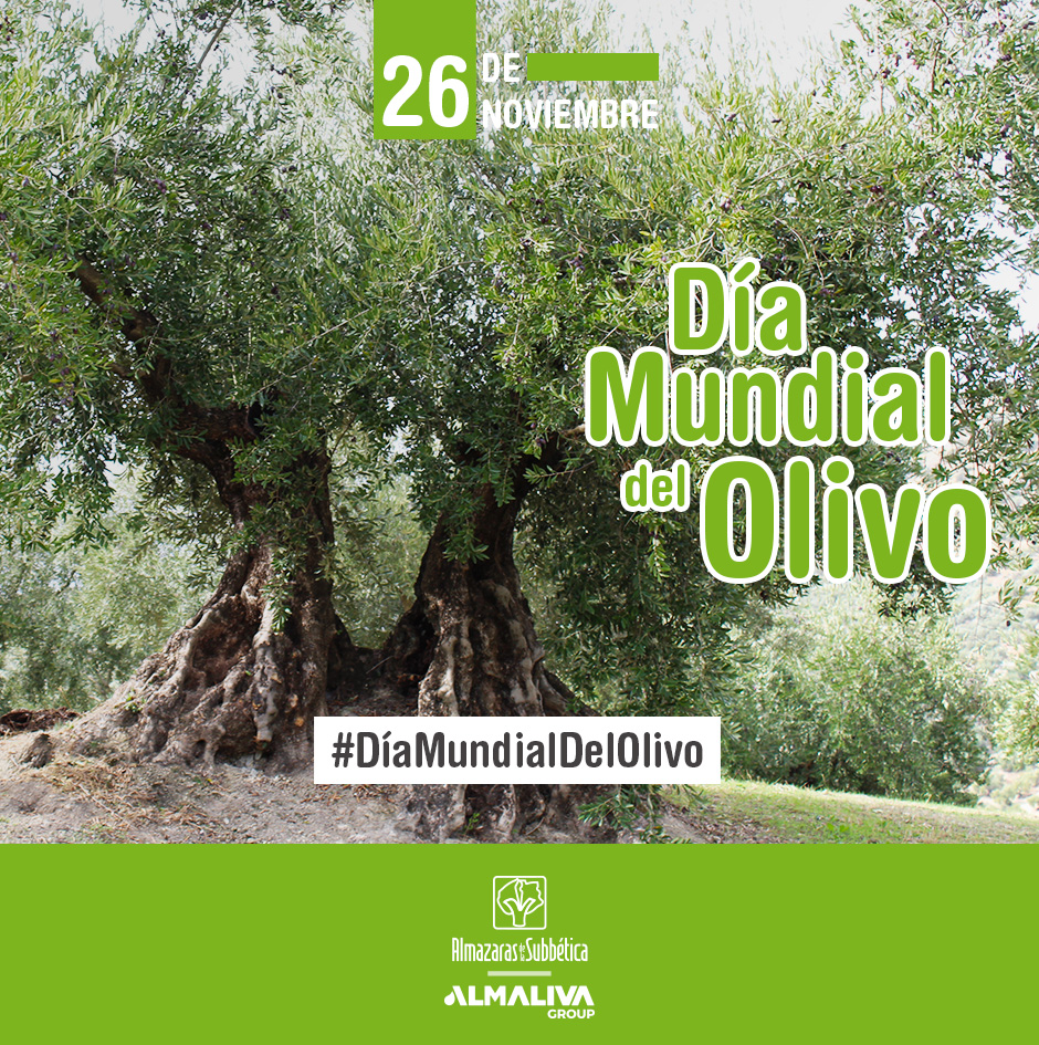 ¡FELIZ DÍA MUNDIAL DEL OLIVO!
🌳Hoy 26/NOV se celebra el #DíaMundialDelOlivo. Un día para agradecer y valorar todo lo que aporta a nuestras vidas.
¿Qué mejor que celebrarlo hoy que con un chorrito extra de #AOVE?

#Olivo #Córdoba #AceiteDeOliva #AceiteDeOliva #SubbéticaCordobesa