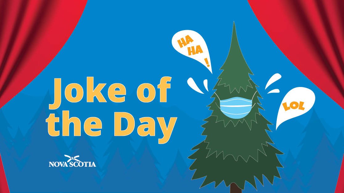 TreeforBoston's tweet photo. Why do trees dislike tests?
Because they always get stumped.
#treejokes #treefun #jokeoftheday https://t.co/AgK6fjkYC3