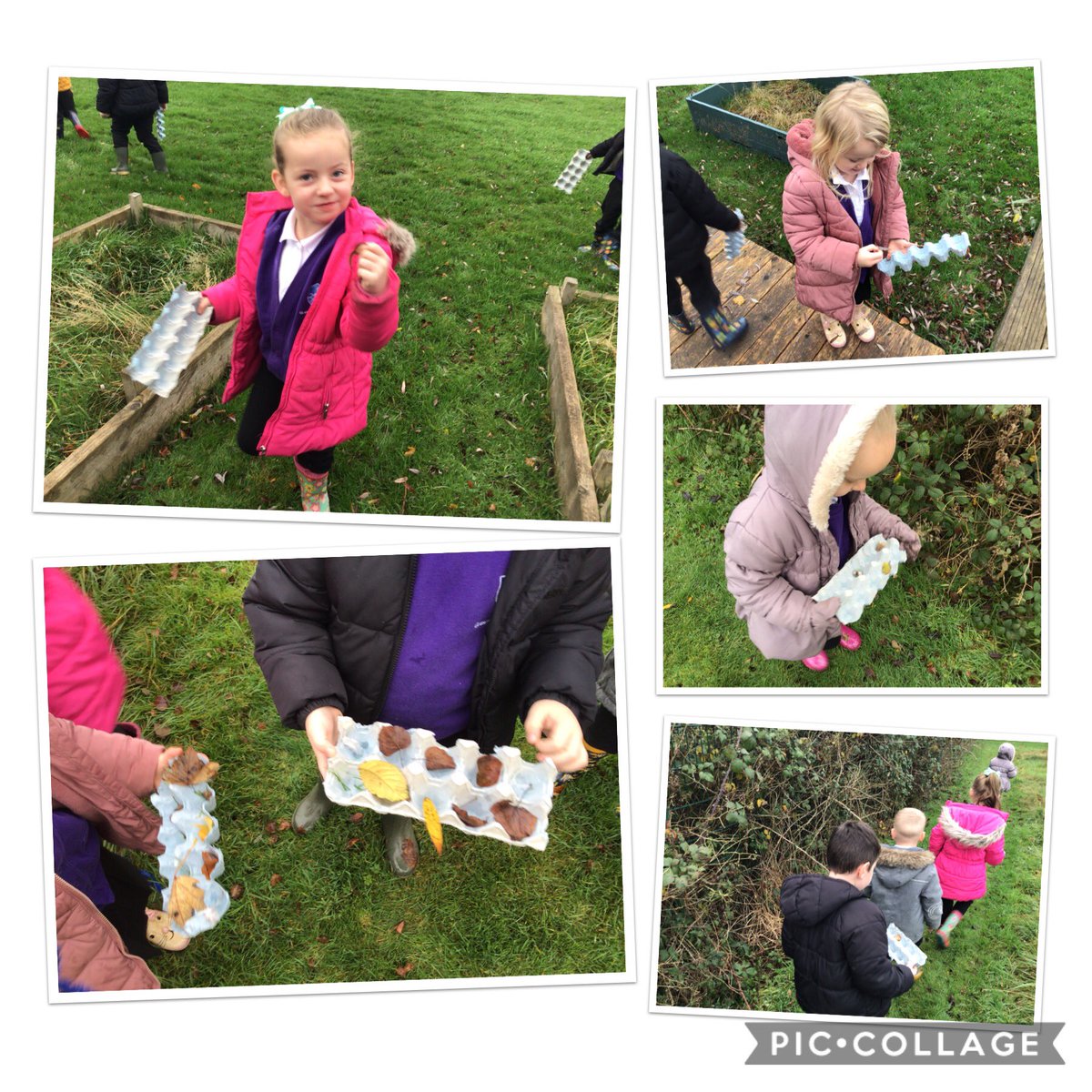 Ducklings tweet media