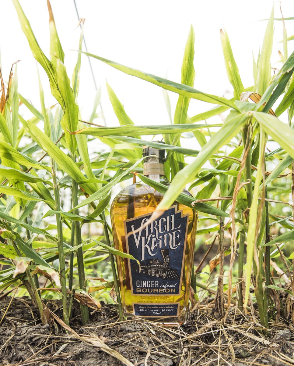 Virgil_Kaine's tweet photo. It all has to start somewhere. For us, it starts from the ground up.
#GingerBourbon https://t.co/d7Wa6NoKZb