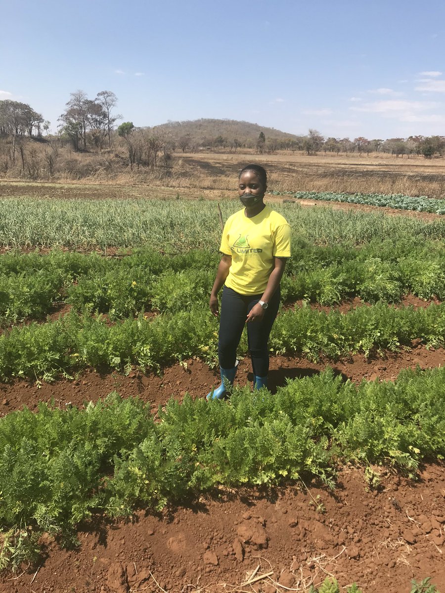 I know my purpose l serve it very well 😃👩🏾‍🌾#agronomist❤️#
<a href="/youth/">Youth</a> in agriculture <a href="/wau_femaleforce/">Women in Agriculture Union (WAU)</a> <a href="/Womenwhofarmaf1/">Womenwhofarmafrica</a>  <a href="/ChembelaJustice/">Justice Chembela</a> <a href="/ZFCLimited/">ZFC Limited</a>