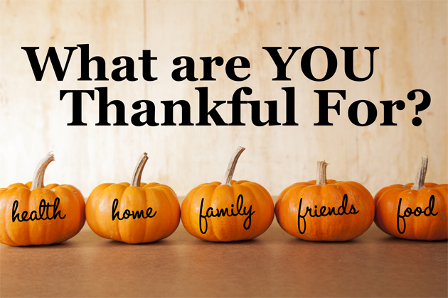 TribeTrans's tweet image. What are you thankful for this Thanksgiving?

#tribeexpress #Thanksgiving2020
