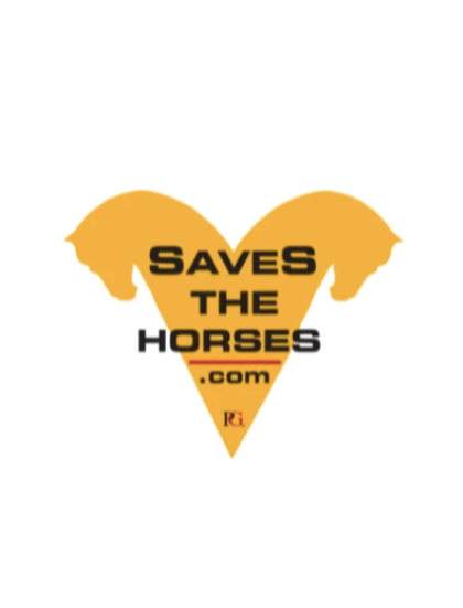 pologear's tweet photo. PoloGear Coffee Company, Supporting Women's Polo &amp; Horse Welfare - https://t.co/UAbemmdhz1 https://t.co/2RmD8Rd0lj