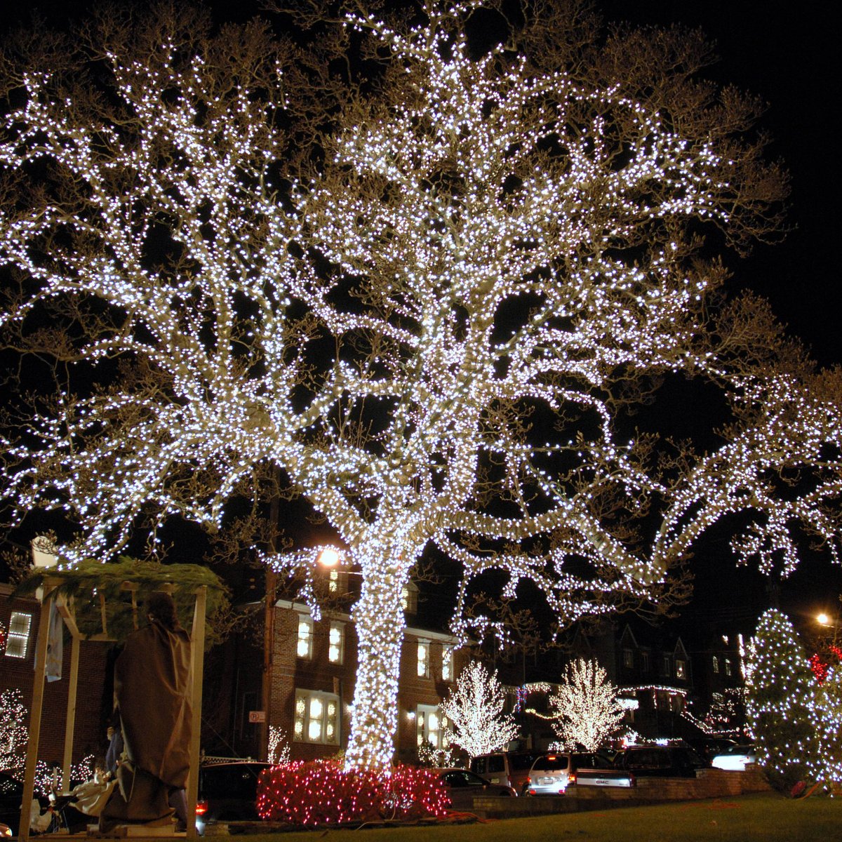 LetItGlowLtd's tweet photo. Illuminating outdoor spaces with our enchanting tree wraps 🌟✨

They look so beautiful that many of our clients choose to keep their tree wraps installed all year 💫

#makechristmasmemorable #makememories #Christmasdecor #treewrap #treelights #Bath #Bristol #SouthWest https://t.co/yFb1Q06ozv