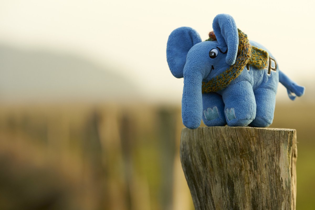 PHP 8.0.0 release day is tomorrow!

Just in time for that Drupal 9.1.0-rc2 is out now with full PHP 8 compatibility (including all of our required dependencies). This is a huge testament to the strength of the PHP ecosystem 💙

drupal.org/project/drupal…

Photo by <a href="/ulf_wendel/">Ulf Wendel</a>