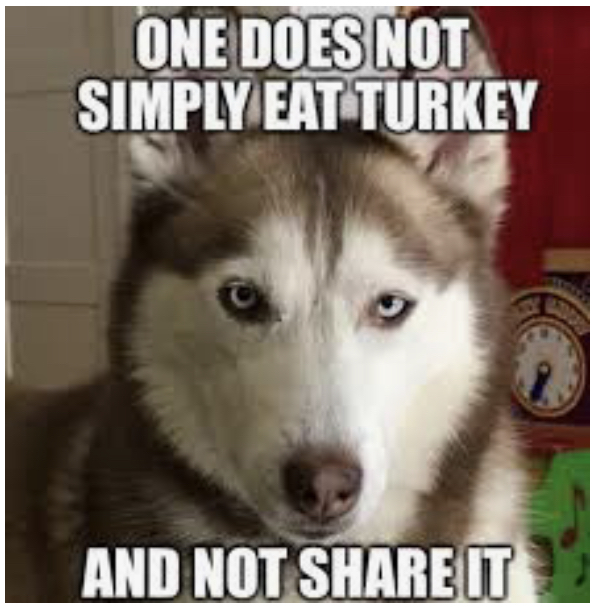 Happy Thanksgiving, Huskies!  Have a restful break and stay healthy! Thank you everyone for all of your efforts this school year.  We appreciate you and all of the positive notes that you have been sending to staff!