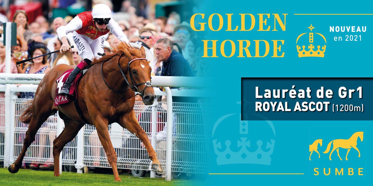 Montfort &amp; Préaux AND Hesmonds Stud unite under the SUMBE banner. The two stud farms owned by Nurlan BIZAKOV will now merge under the Sumbe name. New stallion  for 2021: GOLDEN HORDE, Gr.1 Royal Ascot winner over 6f
