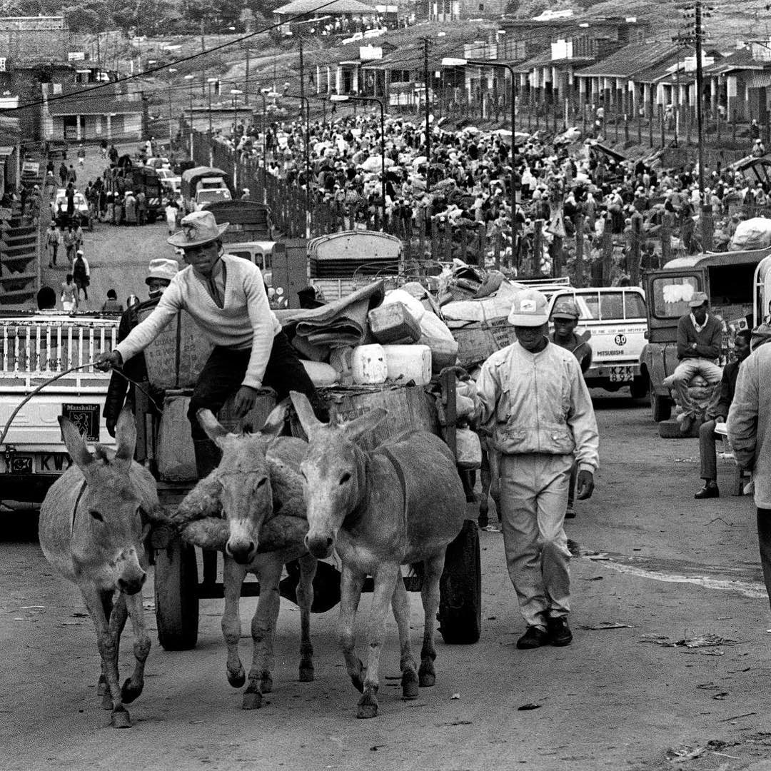 of_edges's tweet photo. Limuru market,Kenya,1989

#Rurallife
#africa
#edgesofafricabook
#documentaryphotography https://t.co/6jyPlBPN29