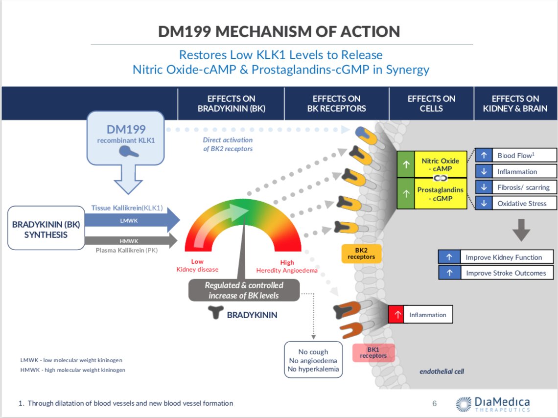The company is also well protected with IP and manufacturing. My theory here: If I’m wrong on DKD, I’m not wrong on stroke. If I’m wrong on both, well, I missed on an $80M MktCap company that I sized knowing the risk. I can live with that.