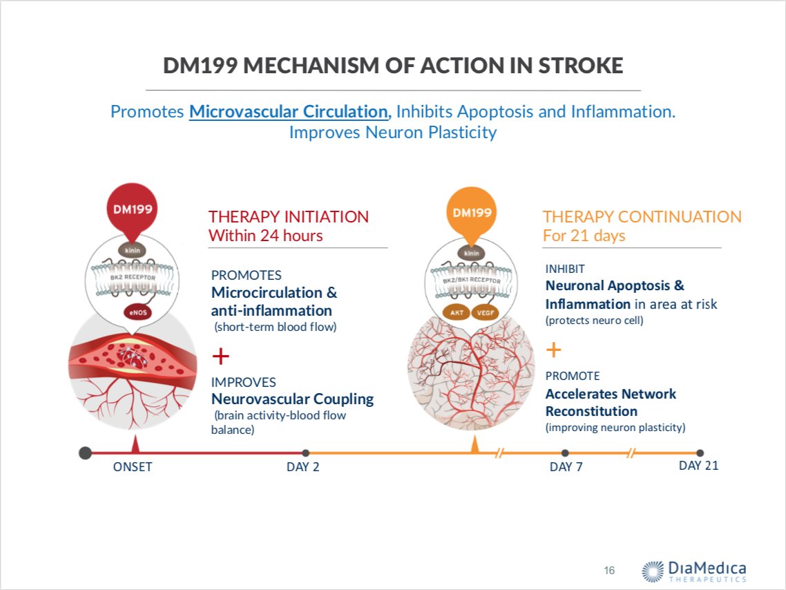 The company is also well protected with IP and manufacturing. My theory here: If I’m wrong on DKD, I’m not wrong on stroke. If I’m wrong on both, well, I missed on an $80M MktCap company that I sized knowing the risk. I can live with that.