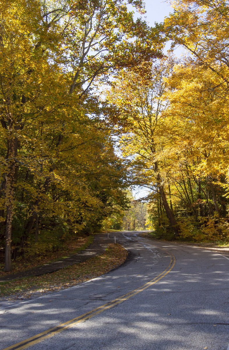 MaKaylaBrownn's tweet photo. Favorite fall scenes to warm the soul. 🌞 https://t.co/luA0kjVHSW