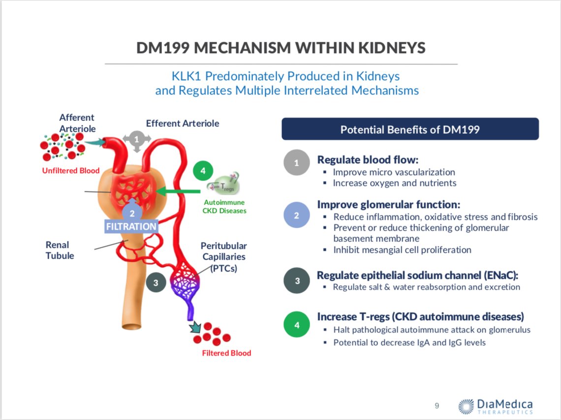 The company is also well protected with IP and manufacturing. My theory here: If I’m wrong on DKD, I’m not wrong on stroke. If I’m wrong on both, well, I missed on an $80M MktCap company that I sized knowing the risk. I can live with that.
