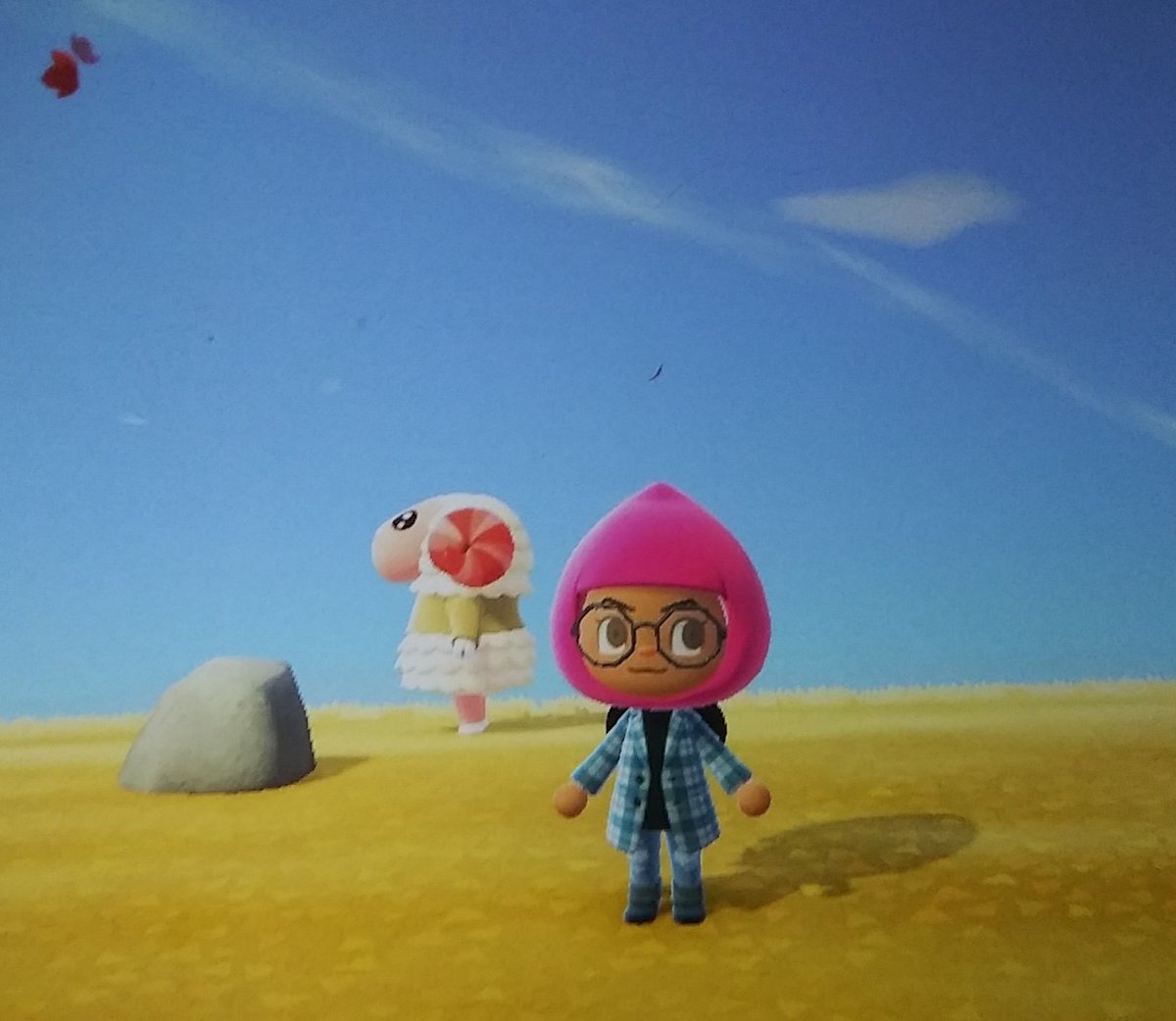 AcnhSunshyne's tweet photo. I think Dom hates me... Why did he think a PINK fairytale had would look good with my outfit...
#AnimalCrossingNewHorizons https://t.co/Z9AbHcFNR3