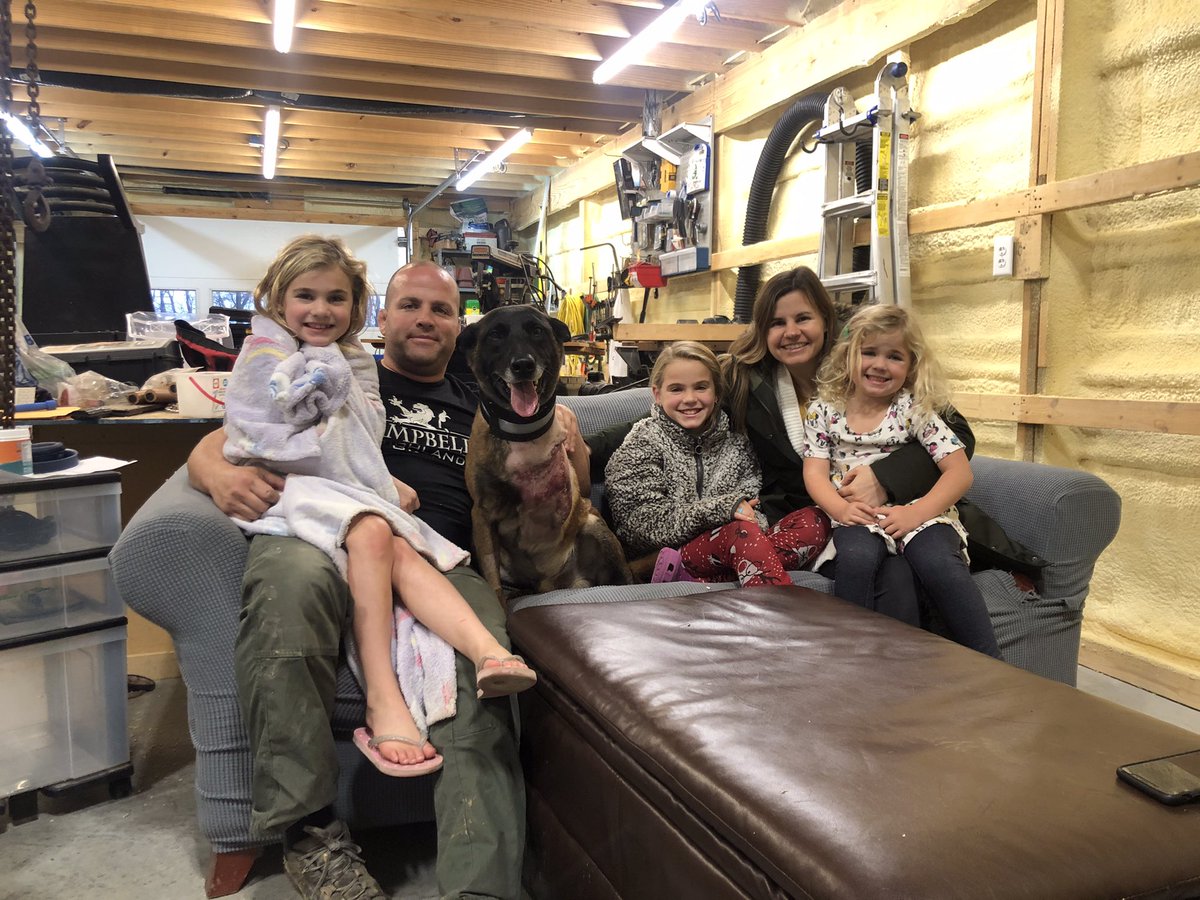 ISPcamps's tweet photo. JohnE aka Trooper Tripod is home with his family and recovering. He is getting lots of love and treats! He got his bandage off today, stitches out in a few weeks and chemo after that. #troopertripod #happyhealing #roadtorecovery https://t.co/axUpvV6Vci