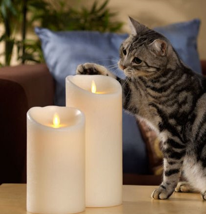 Fires caused by candles are easily preventable. Keep lit candles safely away from children and pets. Blow candles out before leaving the room. Flameless candles are a much better choice for a fire safe home.