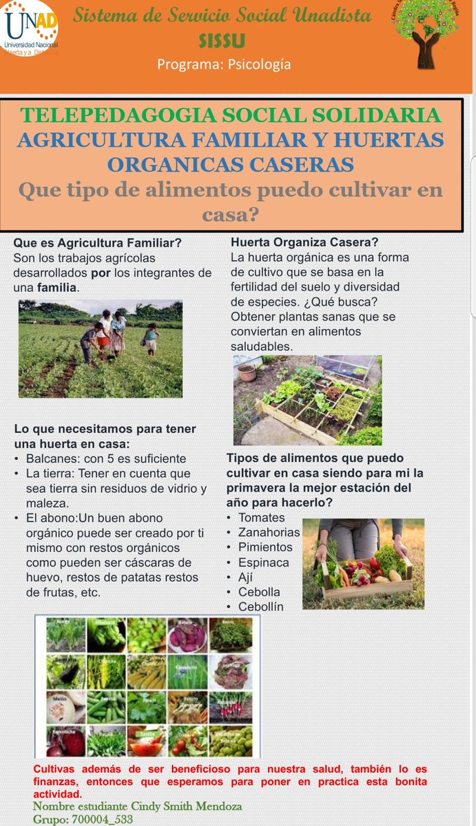 Cindys2516's tweet photo. @SISSUUNAD_ZCAR @SISSU_UNAD @JULA_PAU @karenpcp @smith1902 @jacqueescobar10 @DaniellaPeralt8
@lauraalmanza21 @Thormoreno @BryanSm49952015 #SERVICIOSOCIALUNADISTAENCASA 
Lo que debemos saber sobre las huertas caseras y la importancia de cultivar nuestros propios alimentos. https://t.co/UkVweJwaqY