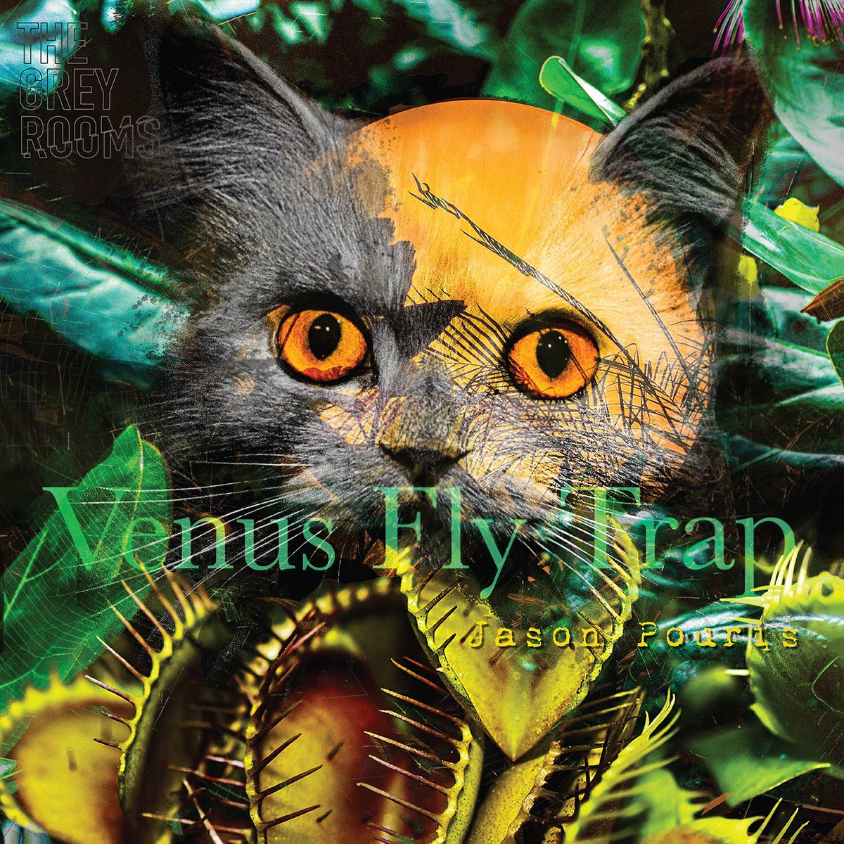 Episode art reveal for our season 3 premiere.

Lead artist <a href="/CPertiet/">Cassie Pertiet</a> stared into the void and this kitty stared back.

“Venus Flytrap”, by @thehypercannon, will claw your door down this Friday,12:01 AM, EDT.

That bowl of milk won’t save you.
#horror #audiodrama #season3