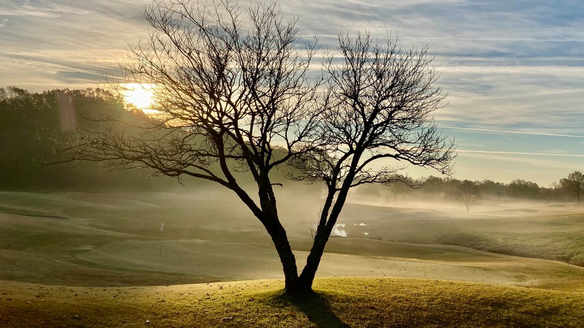 Spring Creek Ranch tweet media