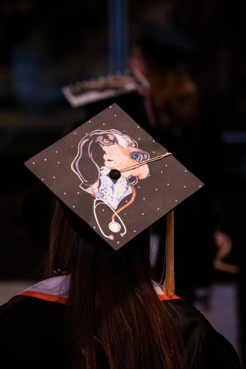 UTKnoxville's tweet image. From their caps to their toes, #UTGrad2020 graduated in style. 🍊🎓