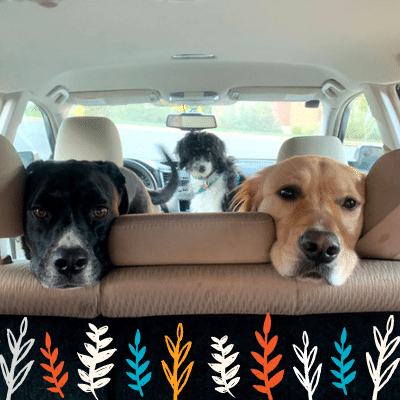 directom's tweet photo. ...And we couldn't leave our puppers behind. ๐
@adrianaparrag is thankful that our doggie family is growing. ๐ถ ๐
#DOMThankfulWeek #DOMDifference #GrowConfindentlyOnline https://t.co/MZgKOvUFcP