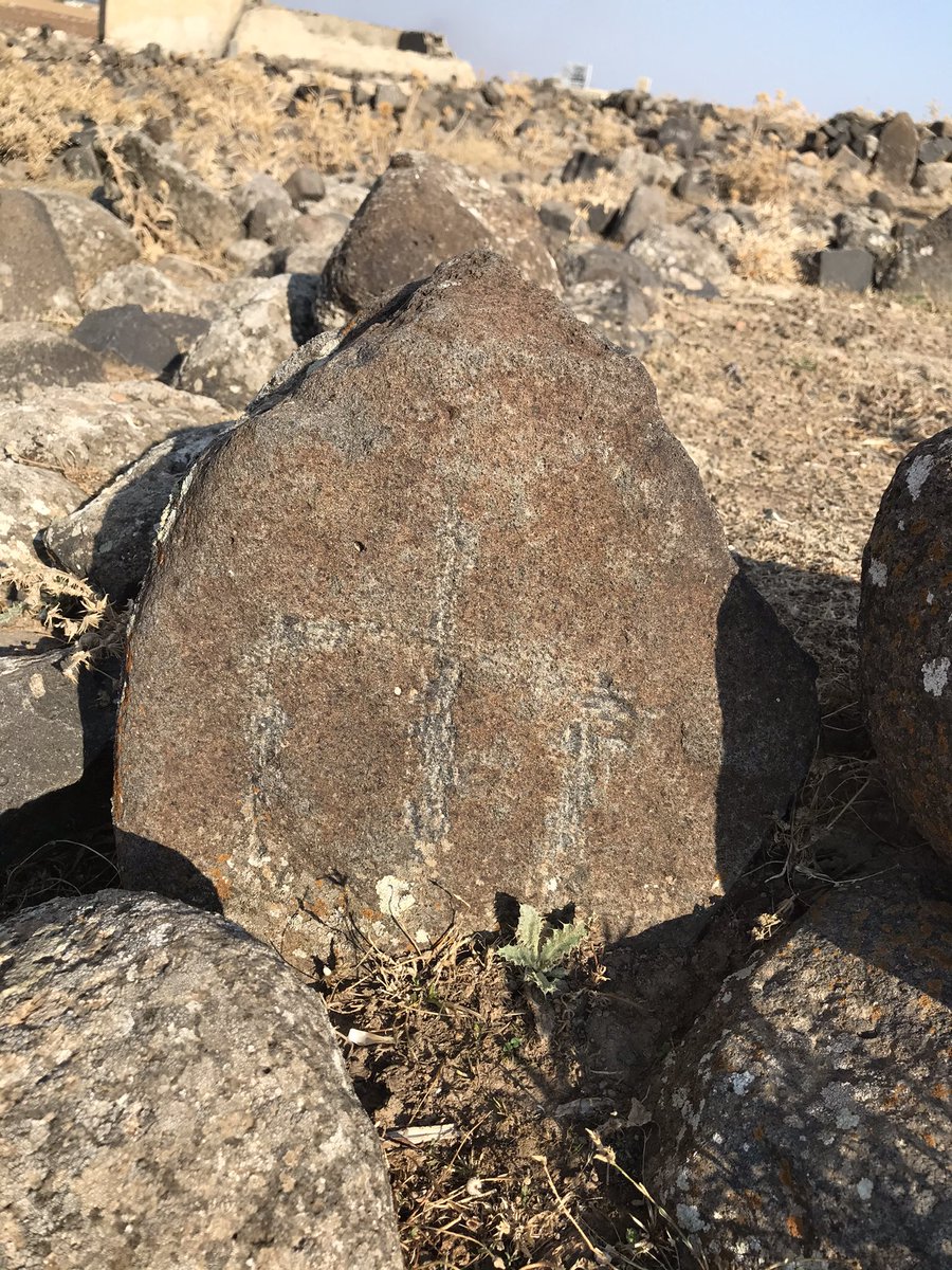 KesfetV's tweet photo. Viranşehir/Yaban ve Beğrük Höyüğü-Tatar Mezar Taşı Damgaları
#Damga #Tatar #Tamga #TatarTamgası #MezarTaşı #Savaş #TatarDamgası #Timur #Timurleng #Moğol #Hükümdar #Ordu #Höyük #Tella #Viranşehir #ViranşehirYabanHöyüğü #ViranşehirBeğrükHöyüğü #Şanlıurfa https://t.co/TaAzLCQPOs