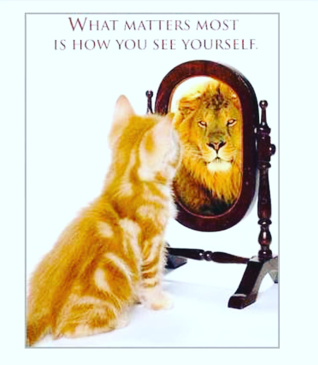Indigo_NHS's tweet photo. In #grief I feel... 

#guilt
#notgoodenough
#regret

Then #acceptance 

In #isolation I realised that you only have yourself. So forgive yourself so that you can move forward.

#childrensgriefawarenessweek 
#isolation
#bereavement https://t.co/DkgoG5xu2m