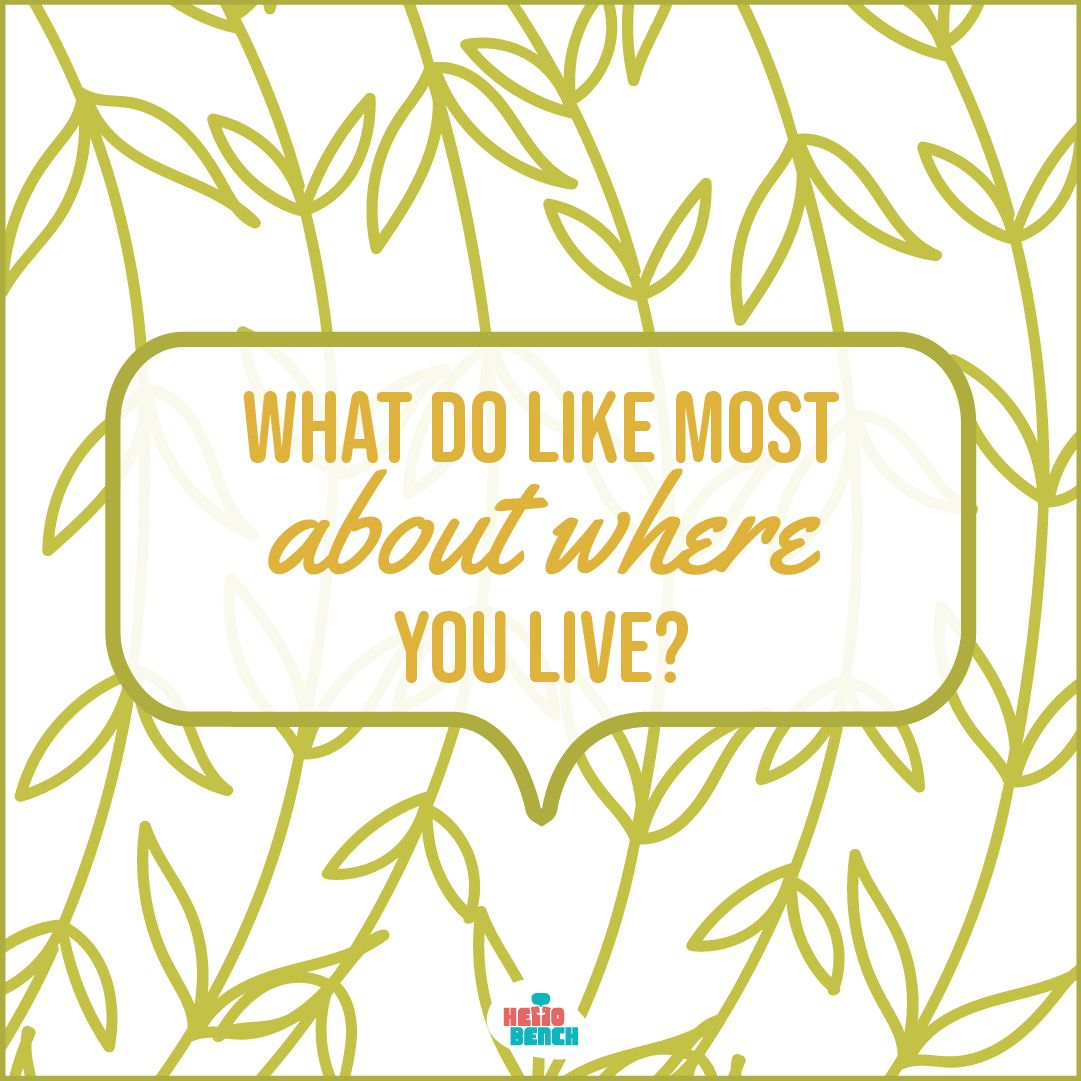 Hello Bench Project tweet media