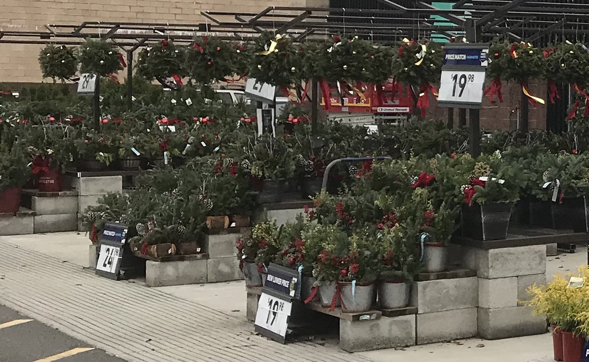 Looking for a quick #holidaygift? @Lowes Woodbridge NJ 1658 has the perfect ones to choose from! #poinsettias #pothos #mixedplanters #wreaths #tabletoptrees #hangingbaskets #kissingballs #farmhousedecor @MichaelBannwar1 @church1230md @timdaleynymetro @PlantPartners @MetrolinaGHS