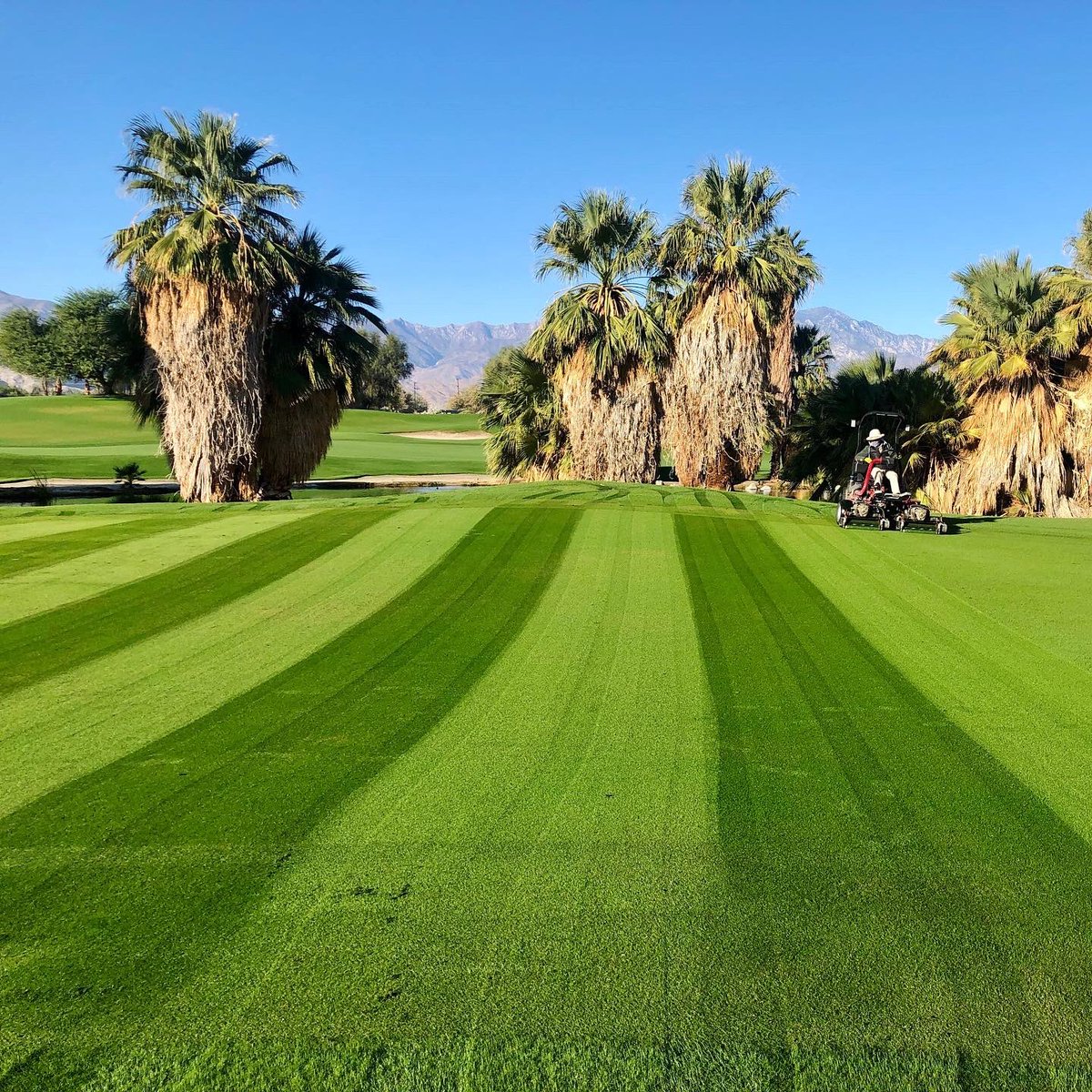 golfDWGR's tweet image. Firecliff’s first mow....stripe show 😎
#playdesertwillow #golf #thisiskempersports #visitpalmdesert