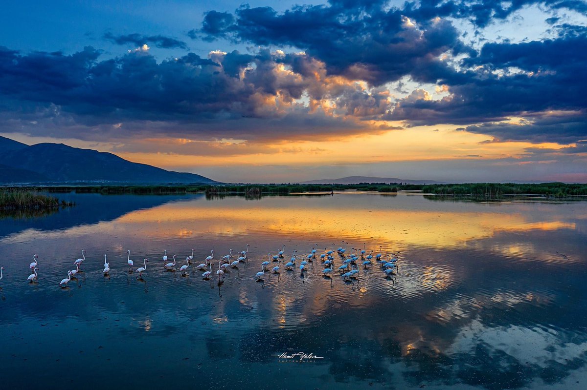 hmetsezen's tweet image. #eber #GizemliŞehirAfyon