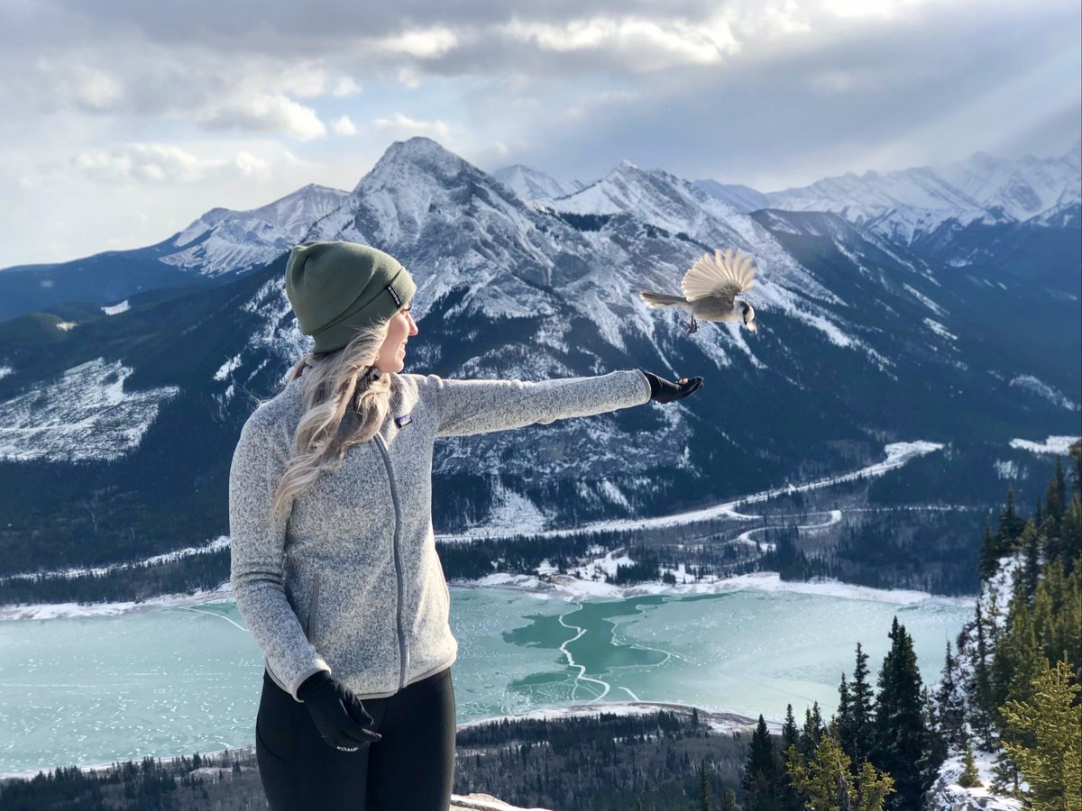 IUseABParks's tweet photo. Bow Valley (Barrier Lake Visitor Information Centre):
Magic happens in the mountains. #savealbertaparks
#abpoli #ableg #IUseAlbertaParks https://t.co/sow41XyKLN