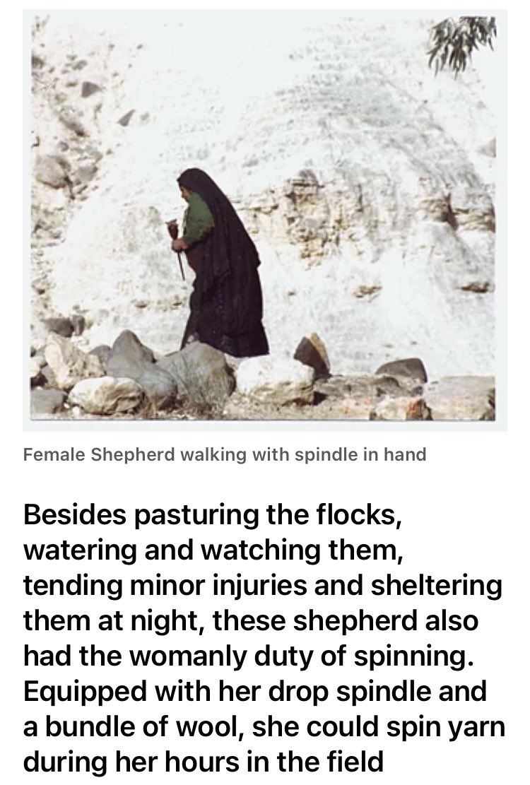 Cultural and biblical reality is that most shepherds were young girls and unmarried women then, and still are, as many girls and women across the land descendants of Abraham came to resides at continue to pastor their family sheep