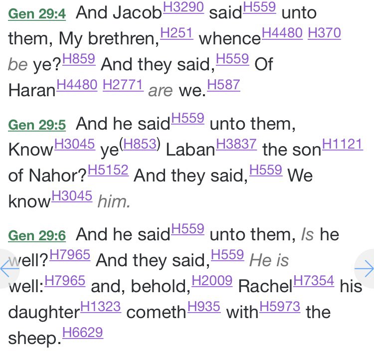 A prescient is set for women being identified as shepherds with Rachel the wife of Jacob in Genesis 29:4-9, where in verse 9 the KJV translated raah to says that she kept sheep, where as the NIV translated more direct as Rachel being a shepherd