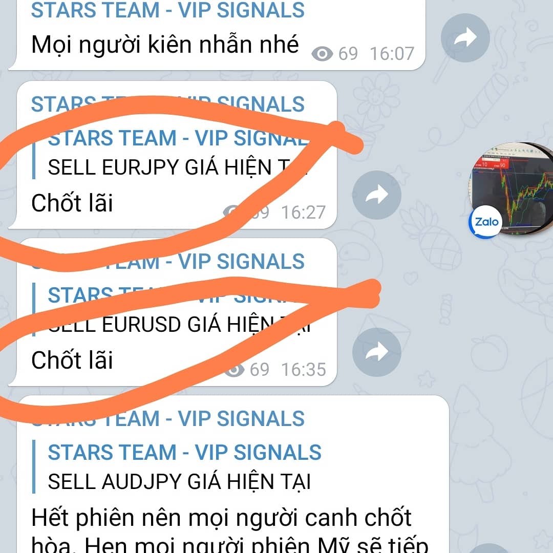 HueCan2's tweet image. CHỊ GÁI LÀM Makeup VÀO VỐN 4000$ 
Chị đi từ HẢI PHÒNG lên để vào vốn #COPYTRADE của Chuyên Gia Úc 💸💸💸
Lãi ngày nhẹ nhẹ hơn 200$.🔥🔥
Chúc cho chị gái gặt hái được nhiều thành công cùng #AlphaStars ✅✅
#HiệpTrader
#KiemtienOnline