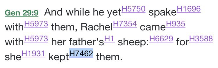 The Hebrew word raah translated in reference to Rachel keeping sheep is overwhelming translated in the rest of the KJV Bible as shepherd or on a few occasions as being a pastor