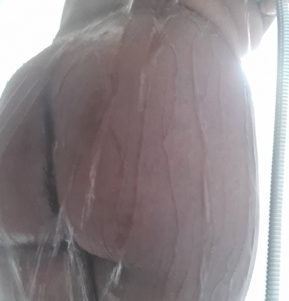 MDom247's tweet photo. Don't you wish that your gf was hot like me? 

#EBONYASSWORSHIP #ebony #ebonydom #femdom #assworhip #FinDom https://t.co/YZpplu3ZmG
