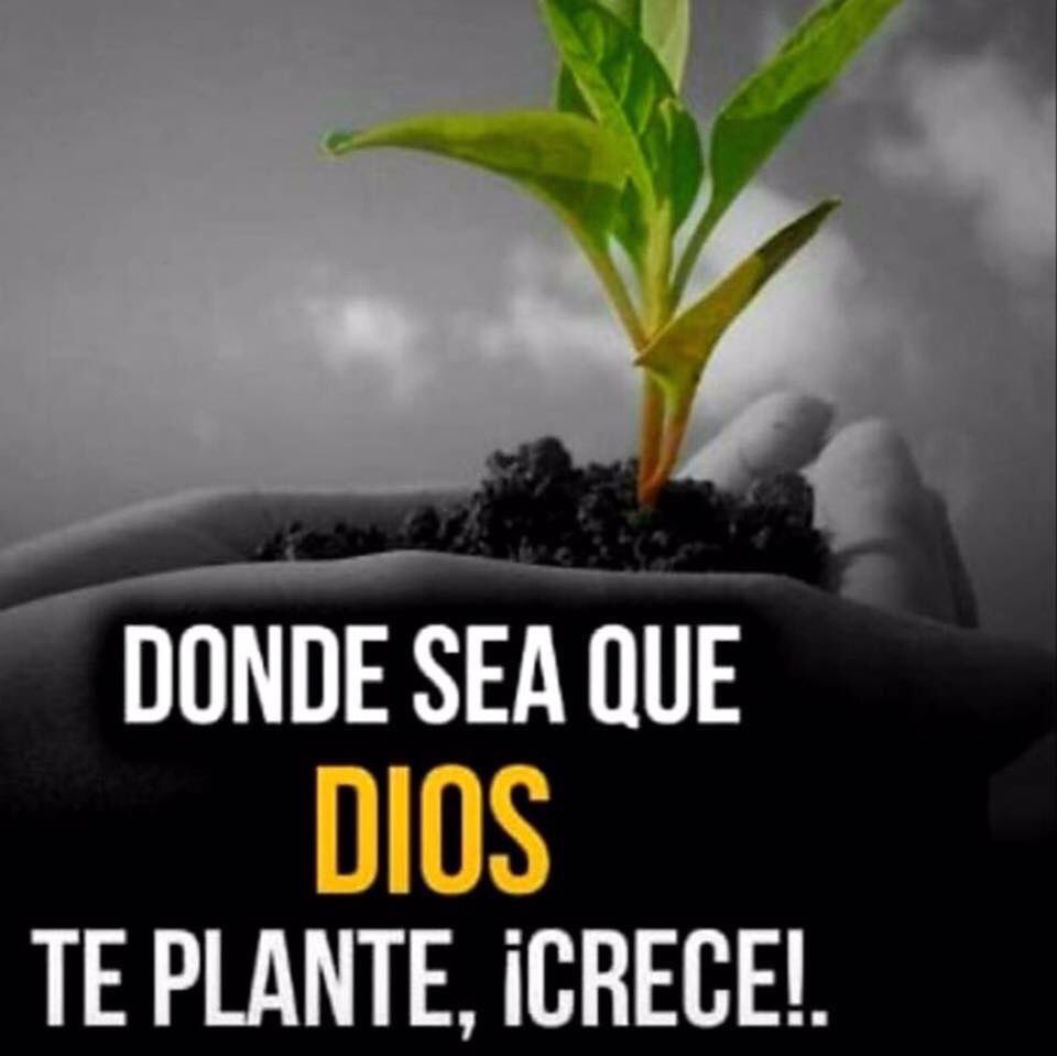 jodyrojas's tweet photo. ♥️ https://t.co/ehSRCwVvkt