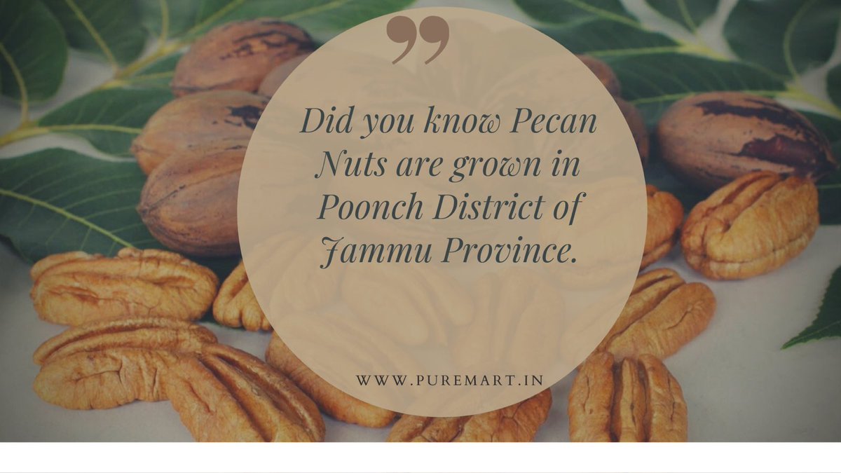 pure_mart's tweet photo. #pecan #poonchunexplored #knowyourfood #liveorganic #puremartindia https://t.co/m7yjhCyt27