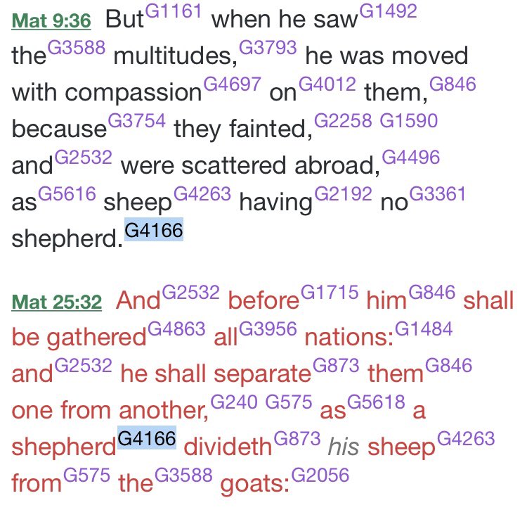 In the Koine Greek gospels and epistles we see poimen translated as shepherd repeatedly, 16 times, except when it is translated as pastor in Ephesians 4:11. Just like in Hebrew, the Koine Greek had one word for male and females shepherds. Just as teacher can be a man or woman