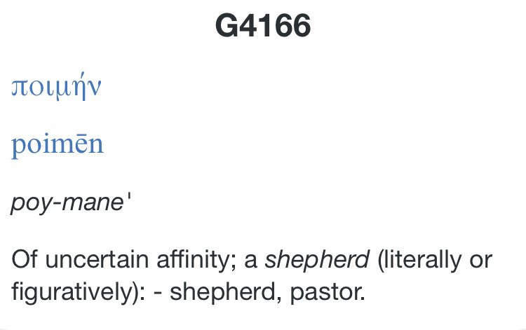 In the Koine Greek gospels and epistles we see poimen translated as shepherd repeatedly, 16 times, except when it is translated as pastor in Ephesians 4:11. Just like in Hebrew, the Koine Greek had one word for male and females shepherds. Just as teacher can be a man or woman