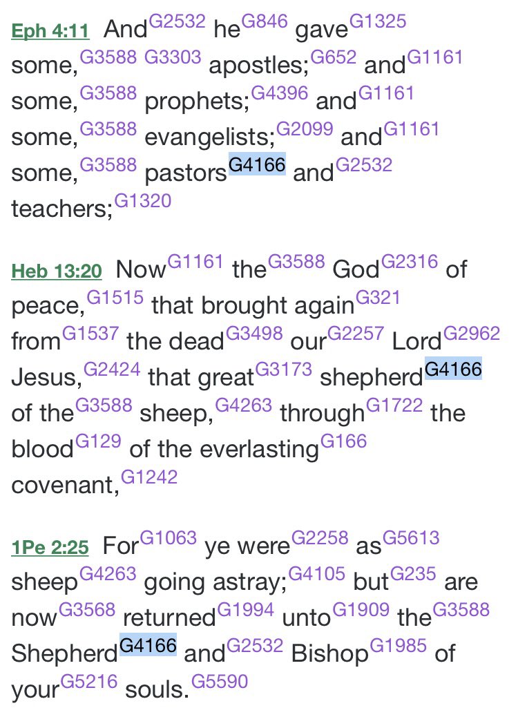 In the Koine Greek gospels and epistles we see poimen translated as shepherd repeatedly, 16 times, except when it is translated as pastor in Ephesians 4:11. Just like in Hebrew, the Koine Greek had one word for male and females shepherds. Just as teacher can be a man or woman